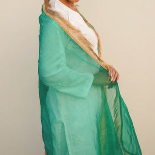 Aamna Dupatta | Green Tissue Dupatta with Golden Zari | Kinaari 2024