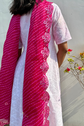 Shaahi Gulaabi  | Leheriya Rani Pink Kota Doria Mirror Work Dupatta