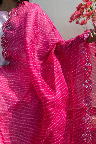 Shaahi Gulaabi  | Leheriya Rani Pink Kota Doria Mirror Work Dupatta