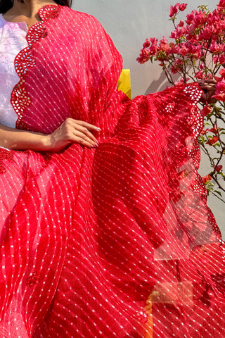 Gulaab Jamuni | Leheriya Kota Doria Mirror Work Dupatta