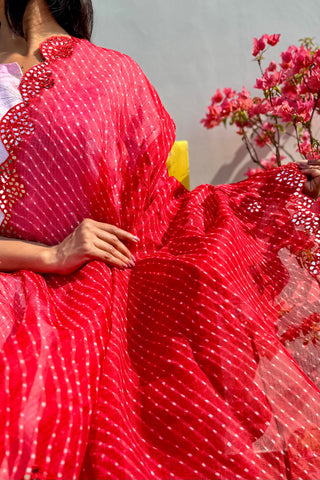 Gulaab Jamuni | Leheriya Kota Doria Mirror Work Dupatta