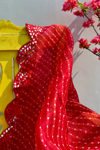 Gulaab Jamuni | Leheriya Kota Doria Mirror Work Dupatta